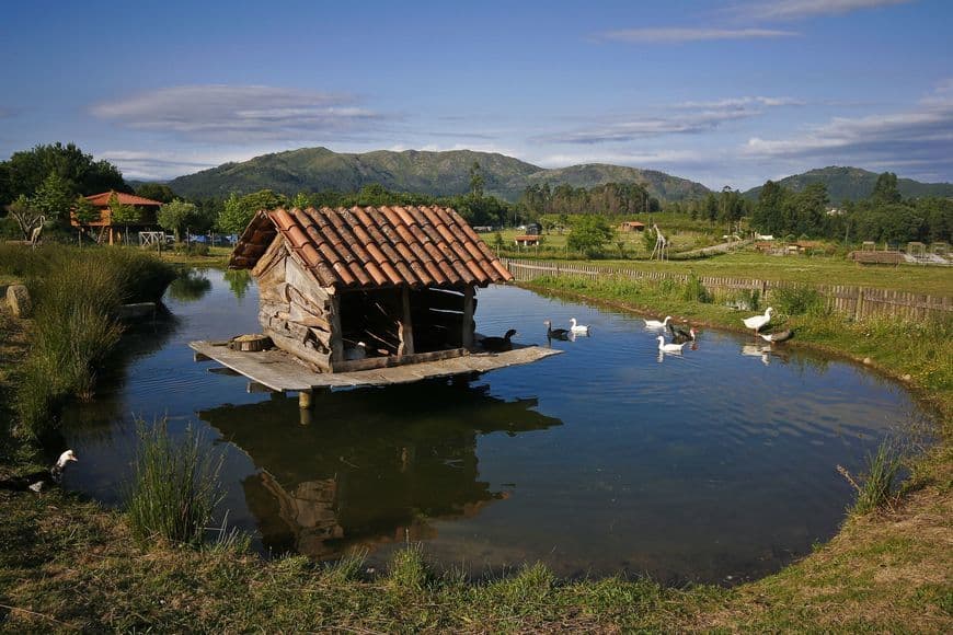 Lugar Quinta dos Pentieiros