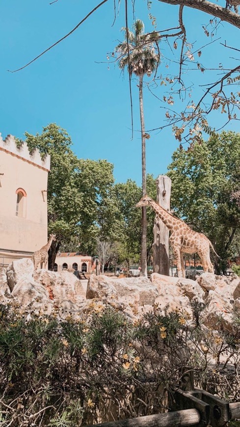 Lugar Jardim Zoológico de Lisboa