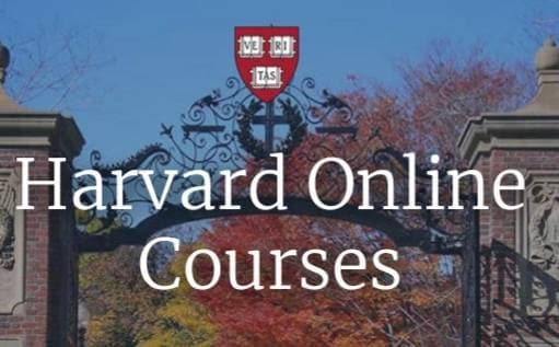 Fashion Harvard University - cursos online