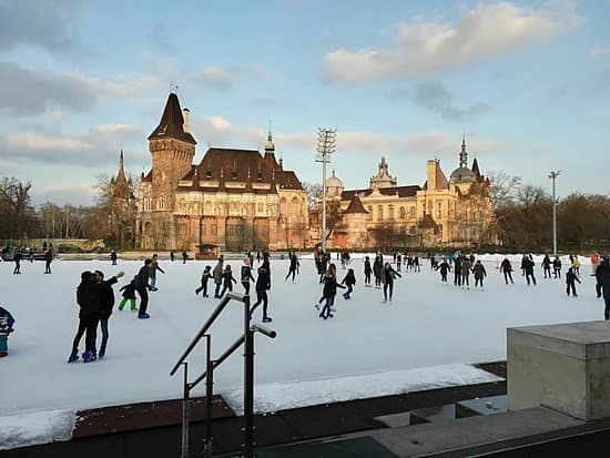 Lugar City Park Ice Rink and Boating