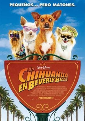 Movie Beverly Hills Chihuahua