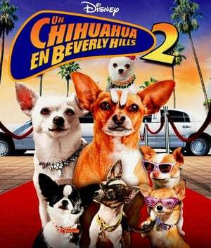 Movie Beverly Hills Chihuahua 2