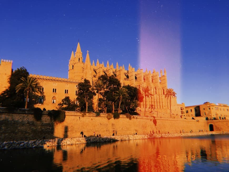 Place Catedral-Basílica de Santa María de Mallorca