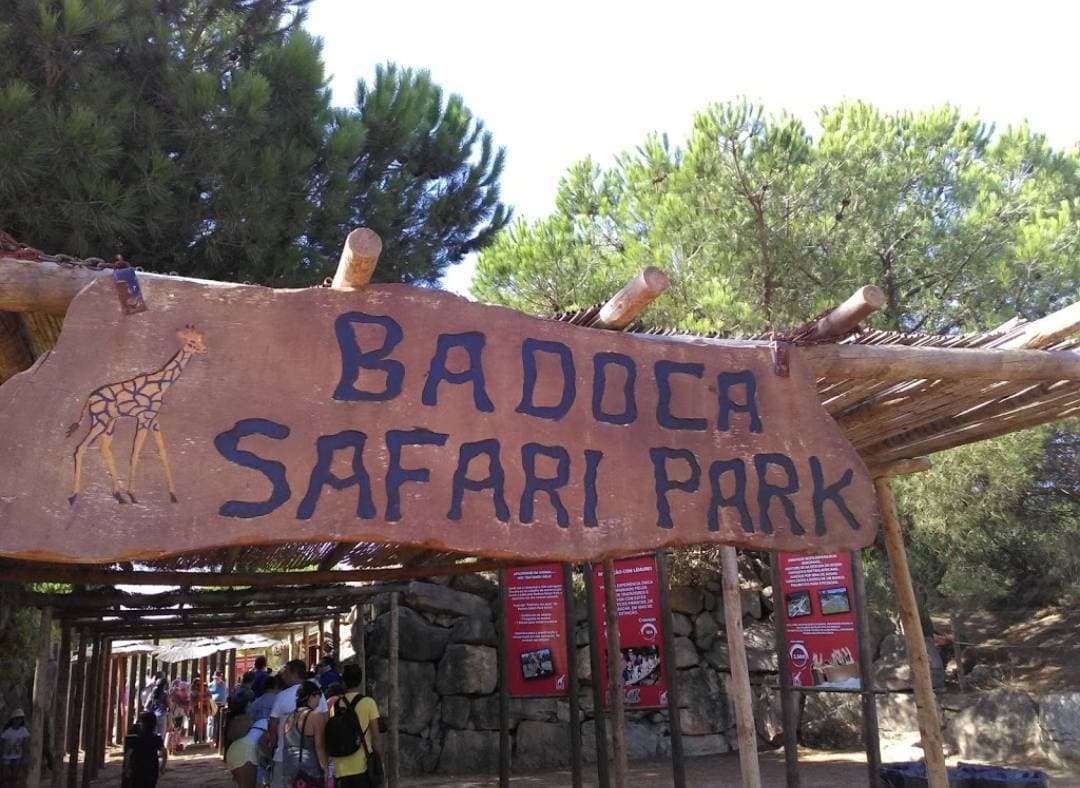 Moda Badoca Safari Park