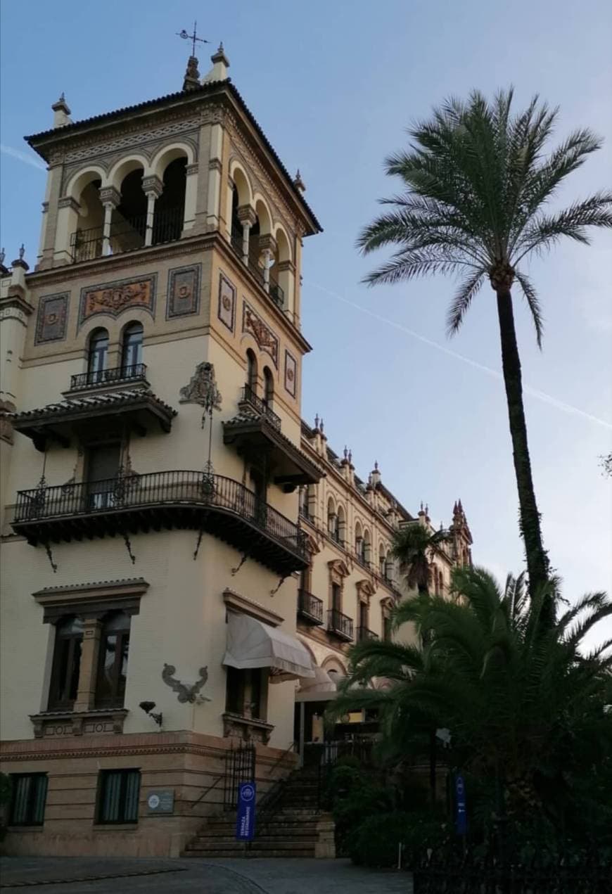 Place Hotel Alfonso XIII