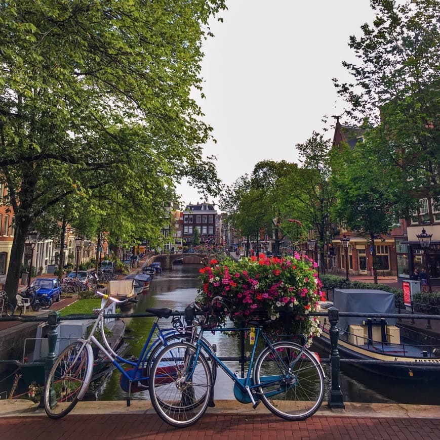 Place Canales de Ámsterdam