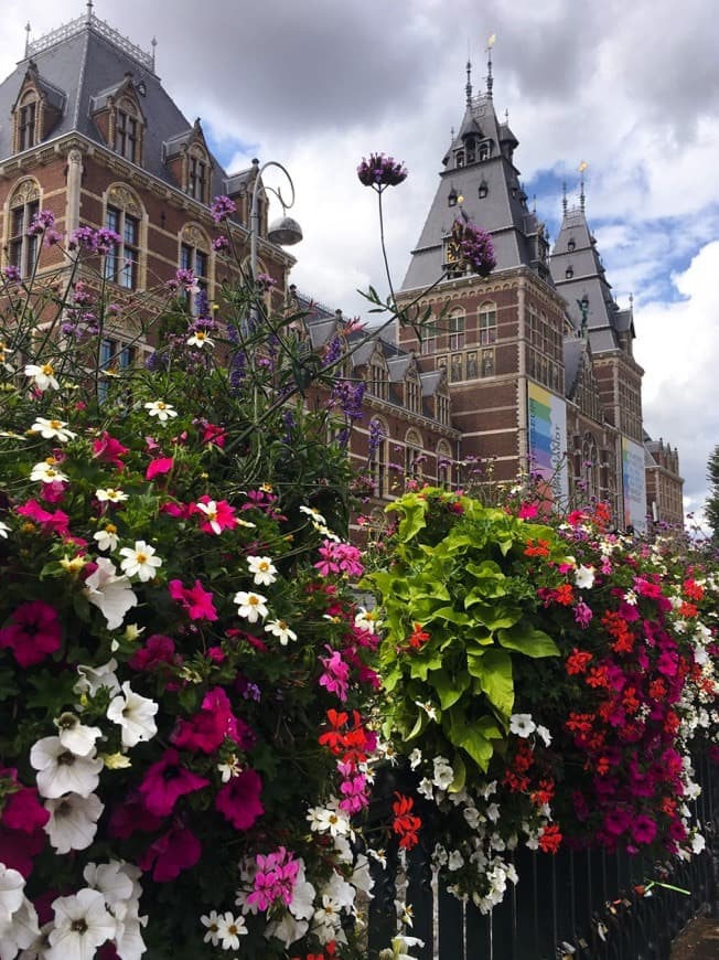 Place Rijksmuseum