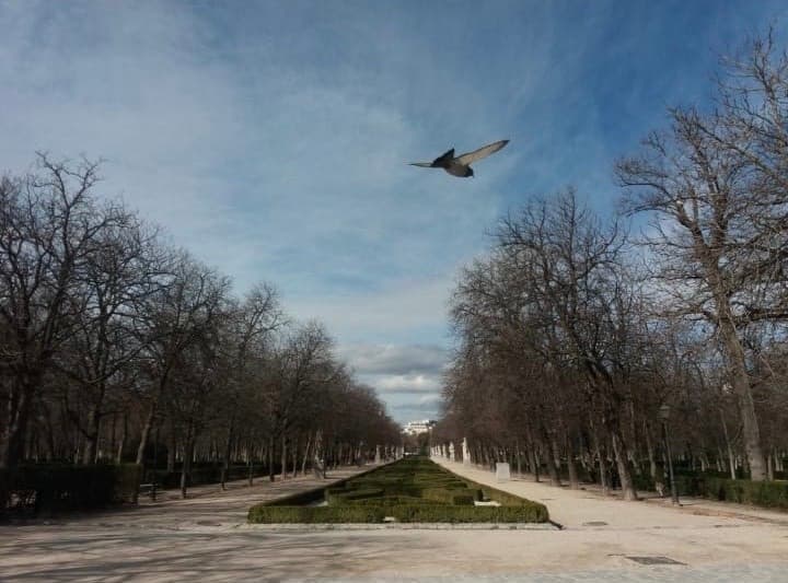 Place Puerta de Alcalá