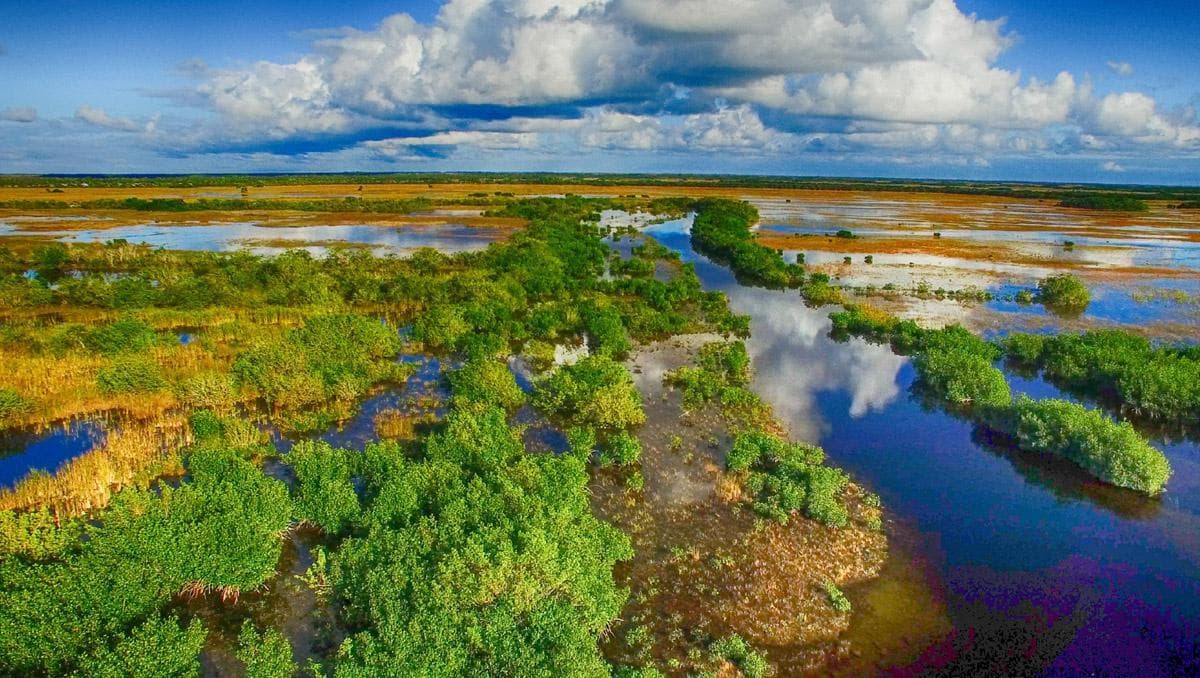 Lugar Parque Nacional de los Everglades