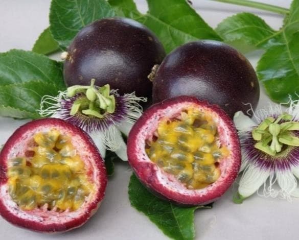 Producto Maracujá roxo