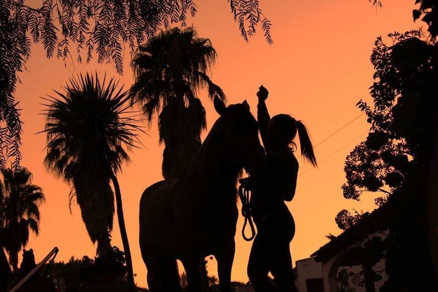 Lugar Centro Equestre da Lezíria Grande