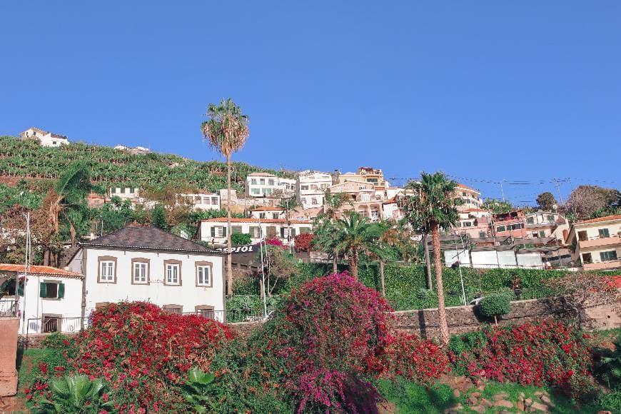 Lugar Câmara De Lobos