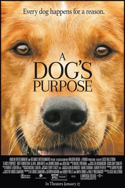 Película A Dog's Purpose