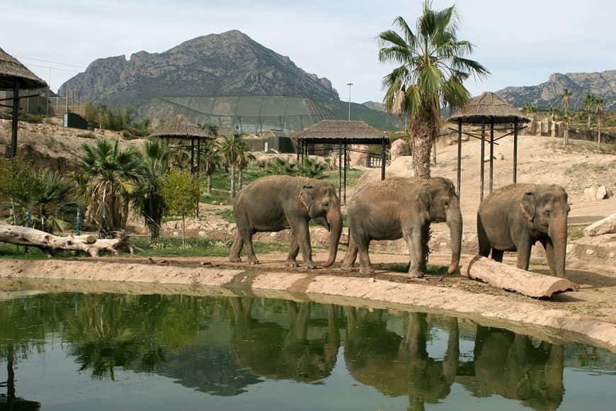 Lugar Terra Natura Benidorm