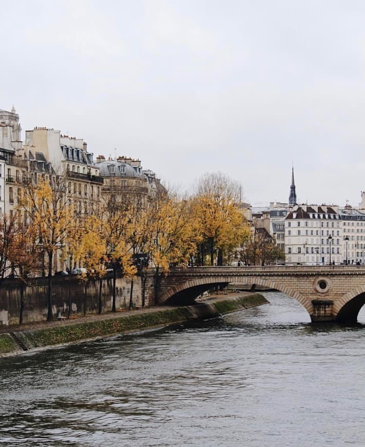 Place París