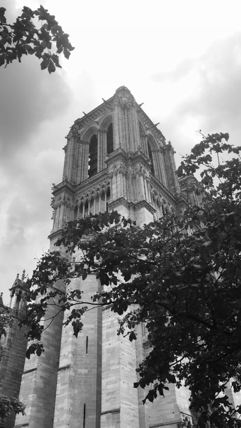 Lugar Notre Dame