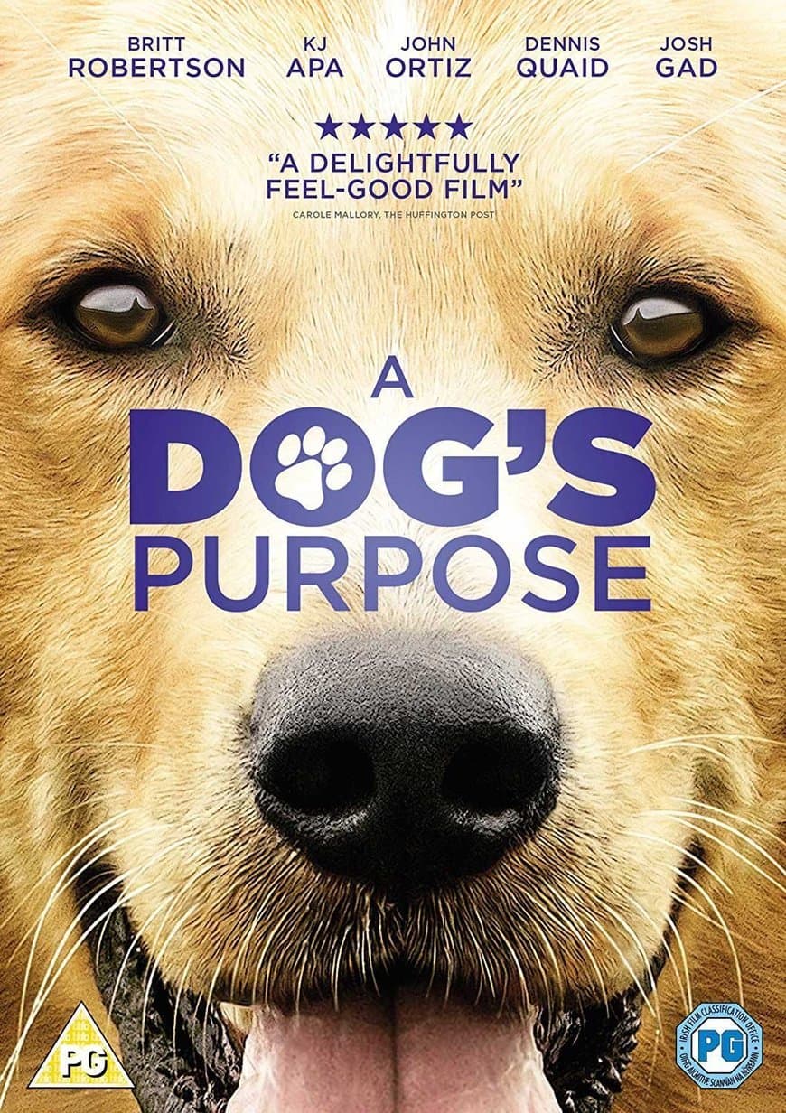 Película A Dog's Purpose 