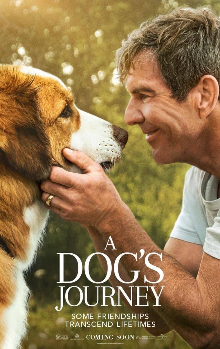 Película A Dog's Journey 