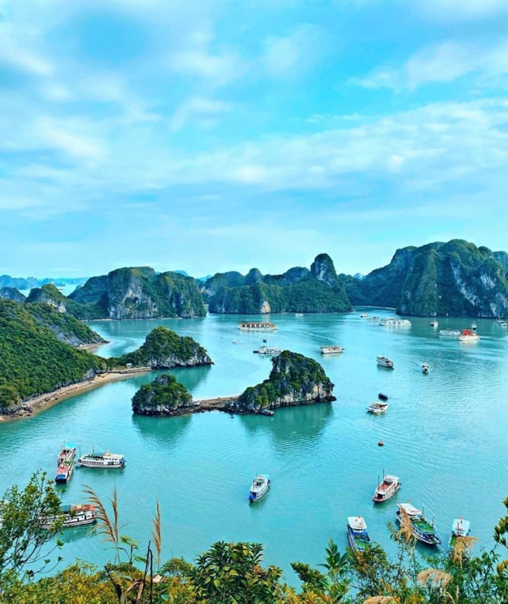 Place Hạ Long Bay