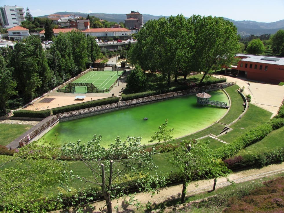 Lugar Parque Municipal Sever do Vouga