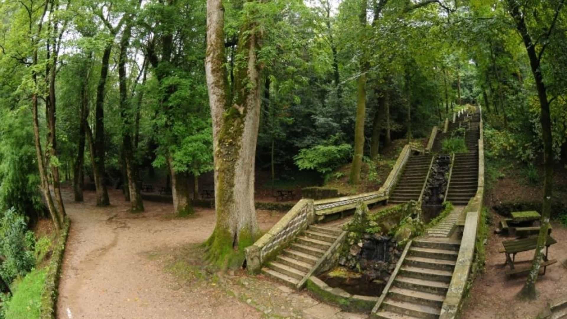 Lugar Fundação Mata do Bussaco