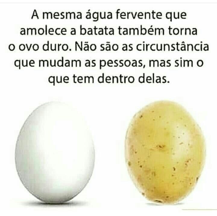 Moda Frase motivação 