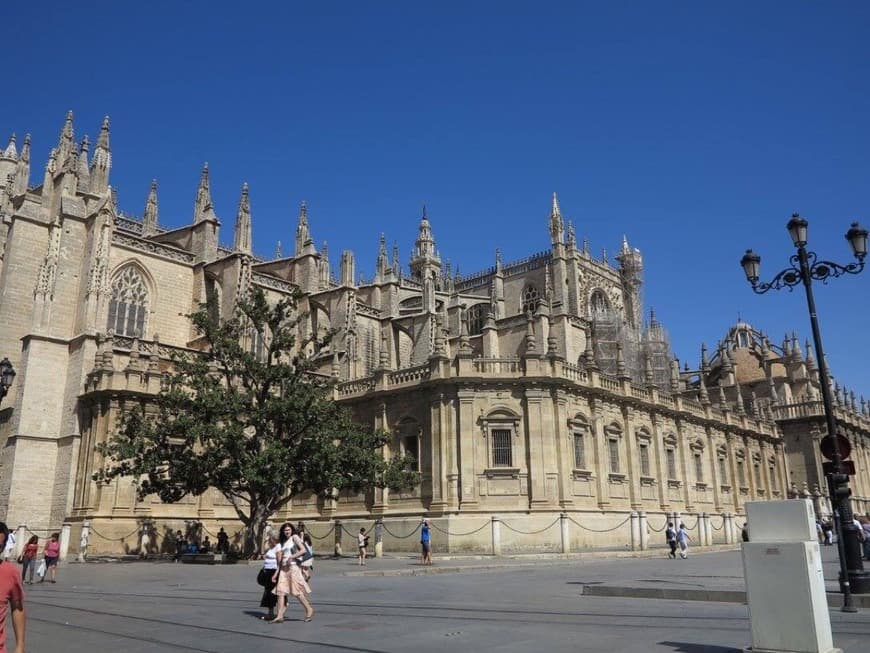 Place Catedral de Sevilla