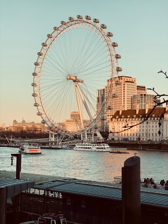 Place London Eye