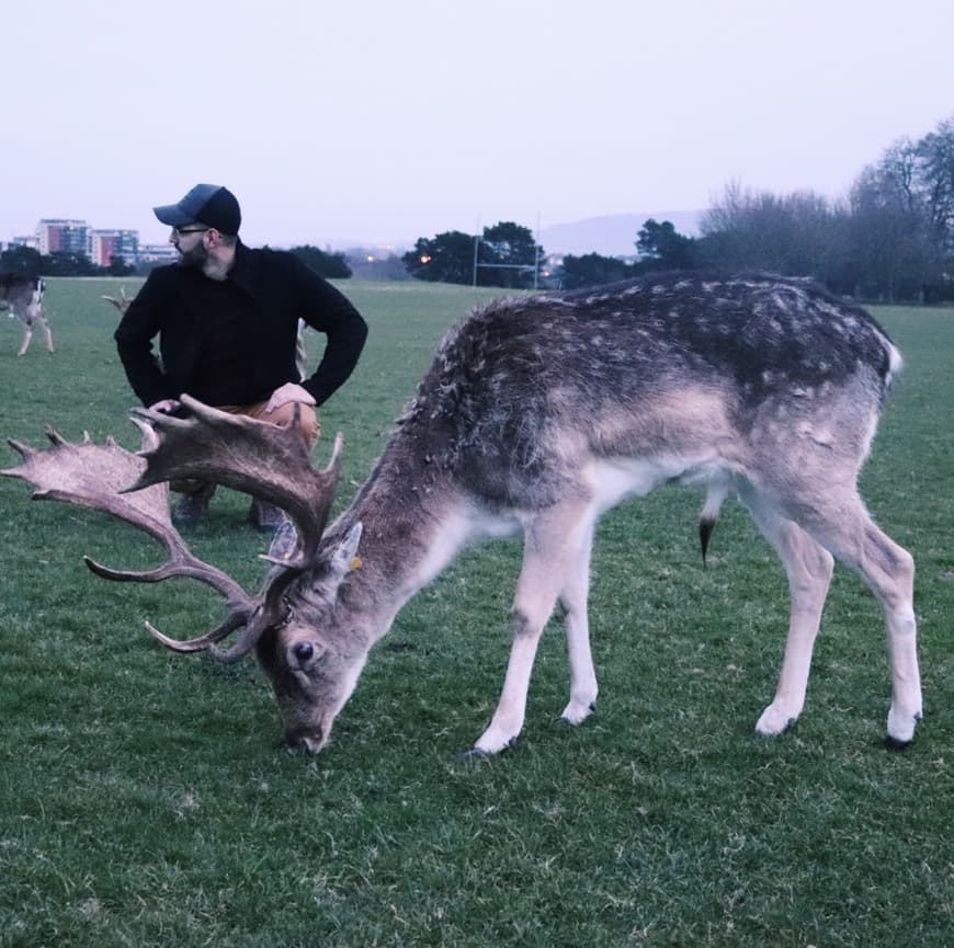 Lugar Phoenix Park