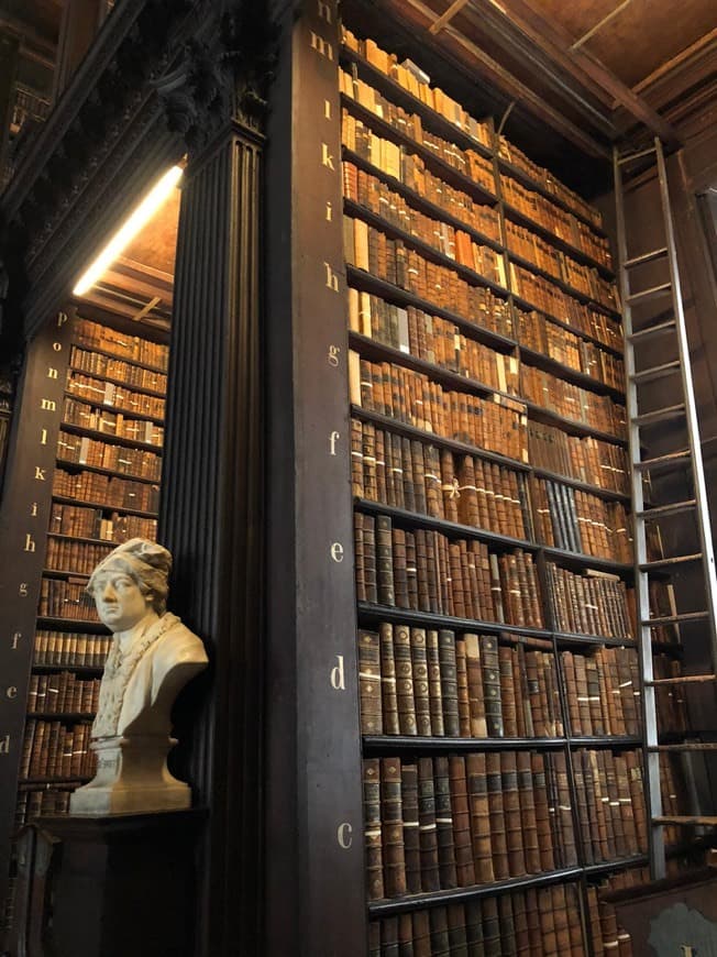 Lugar The Long Room Of The Old Library At Trinity College