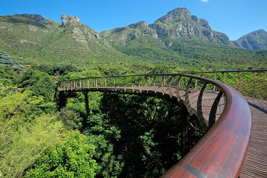 Place Kirstenbosch National Botanical Garden