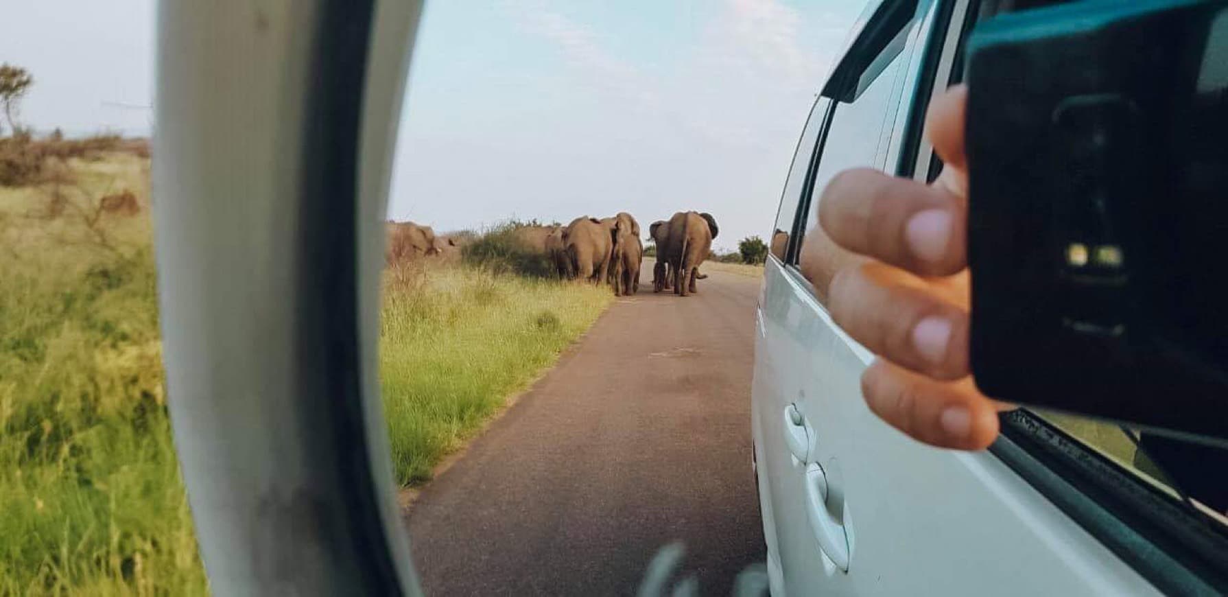 Lugar Parque nacional Kruger