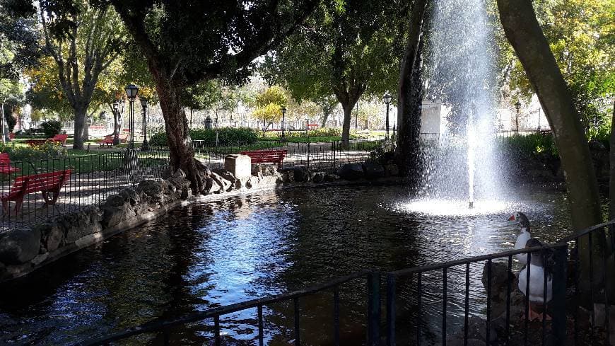 Moda Jardim público de Évora 