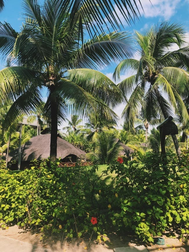 Lugar Porto de Galinhas