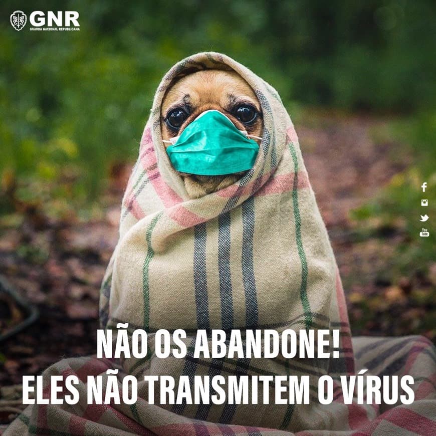 Moda Coronavírus leva GNR a fazer apelo: "Não abandone os animais ...