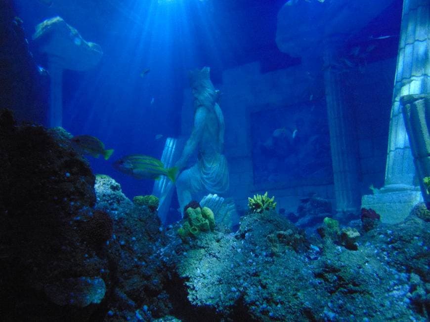 Place SEA LIFE Porto