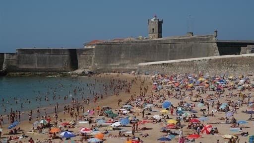 Lugar Torre's beach