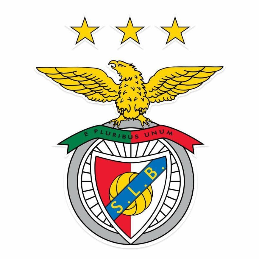 Moda Benfica 