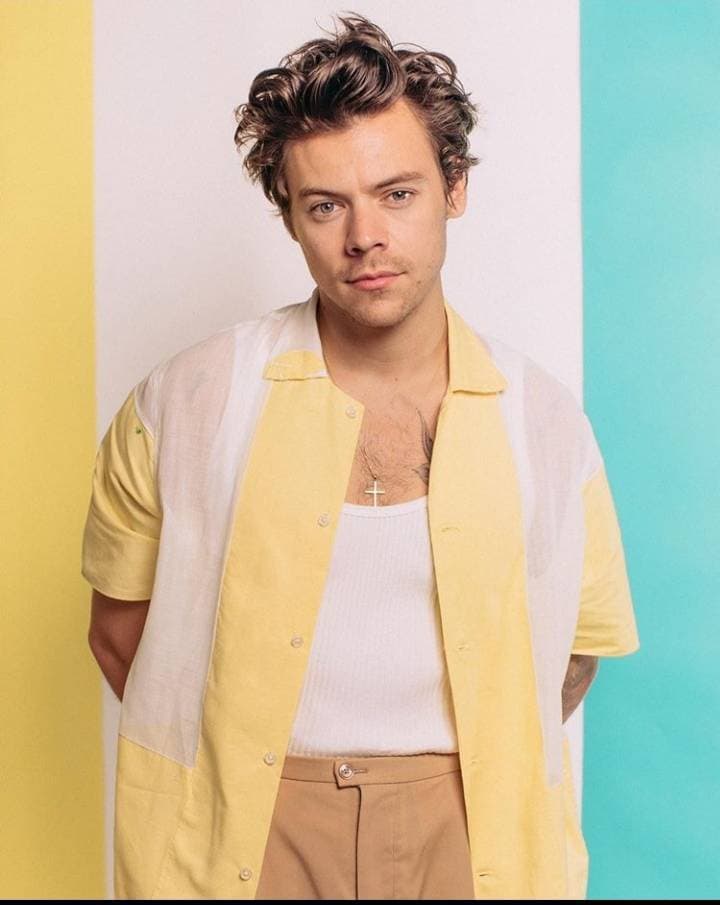 Fashion Harry Styles