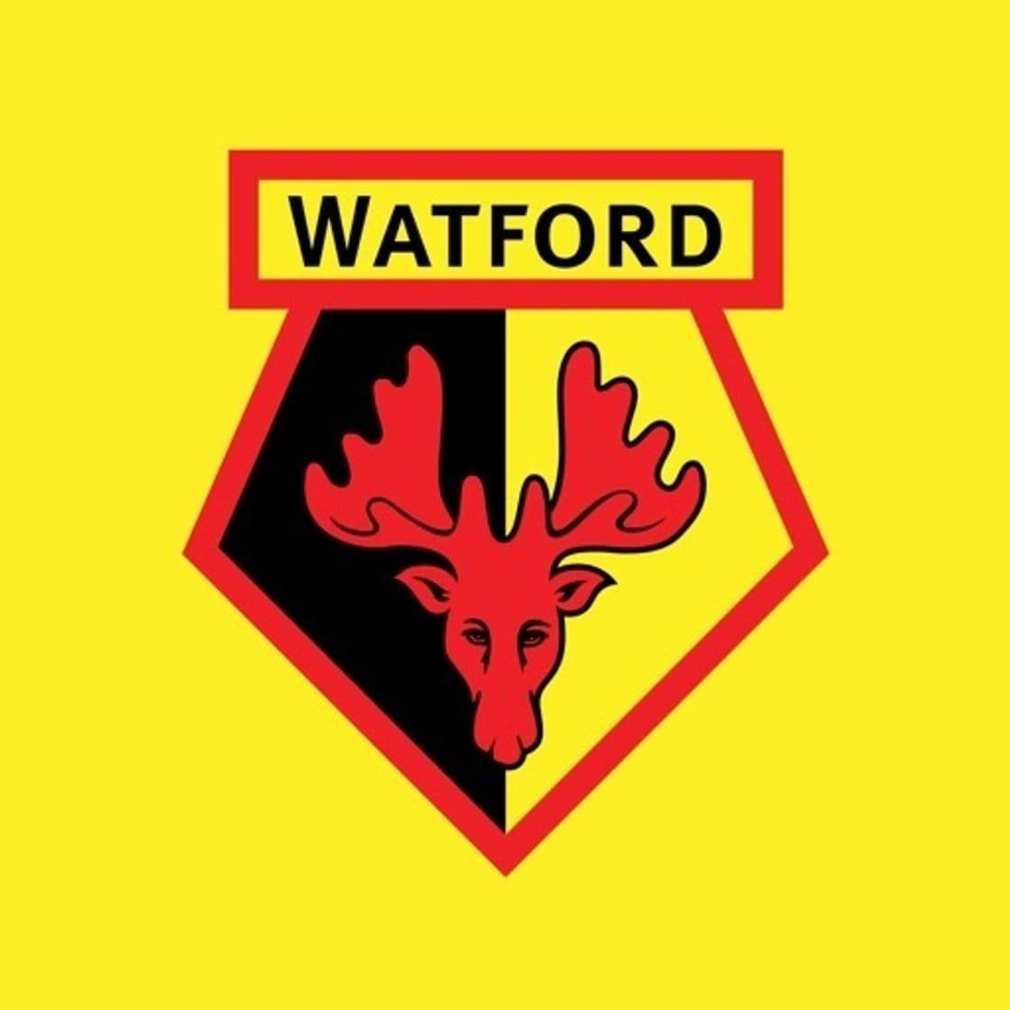 App Watford FC