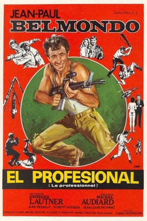 Película The Professional