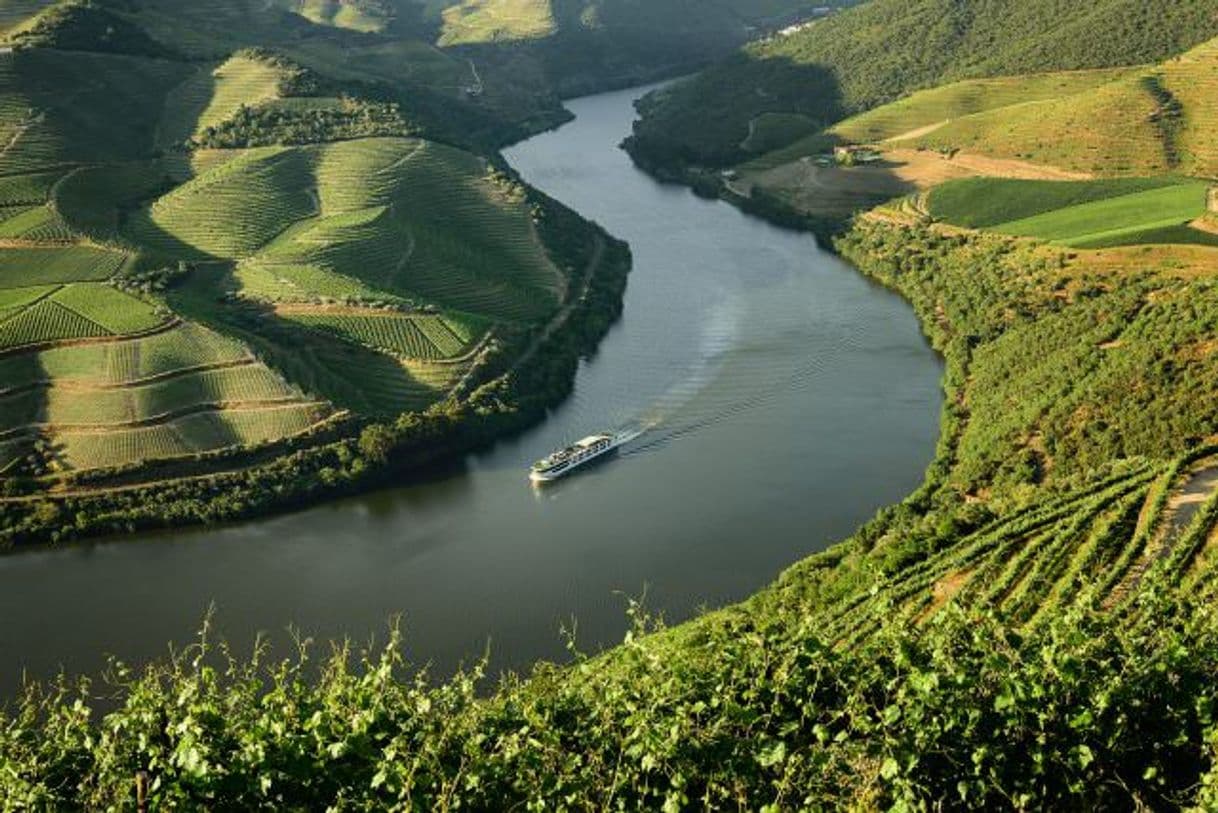 Place Rio Douro