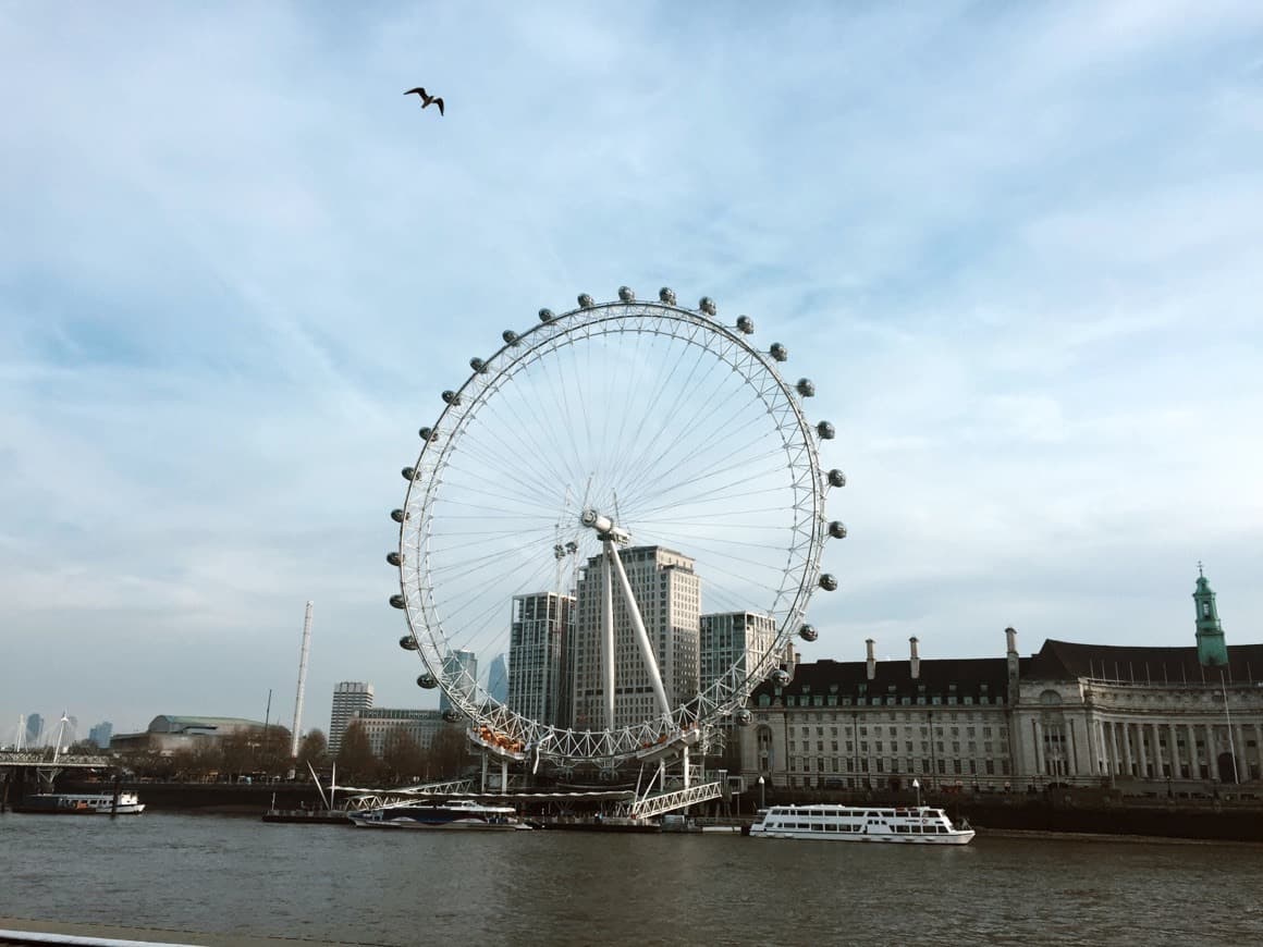 Place London Eye