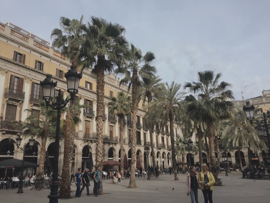 Lugar Plaça Reial