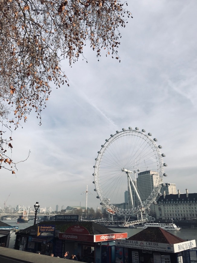 Lugar London Eye