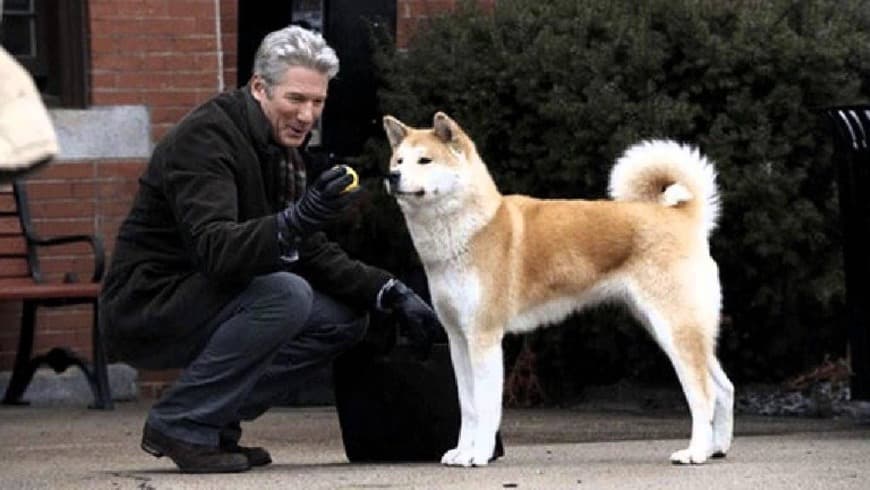 Movie Hachiko 