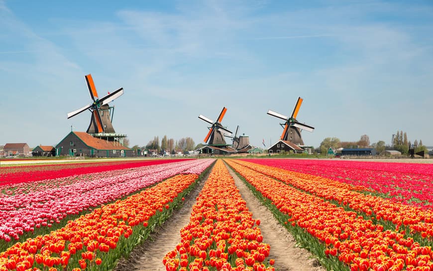 Place Holanda