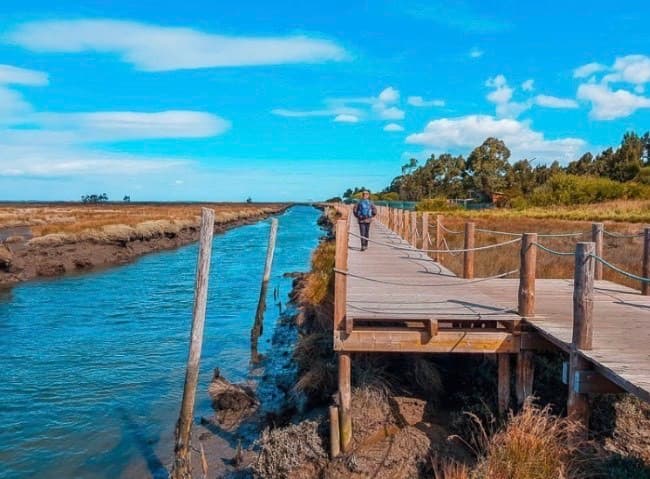 Place Passadiços Ria de Aveiro