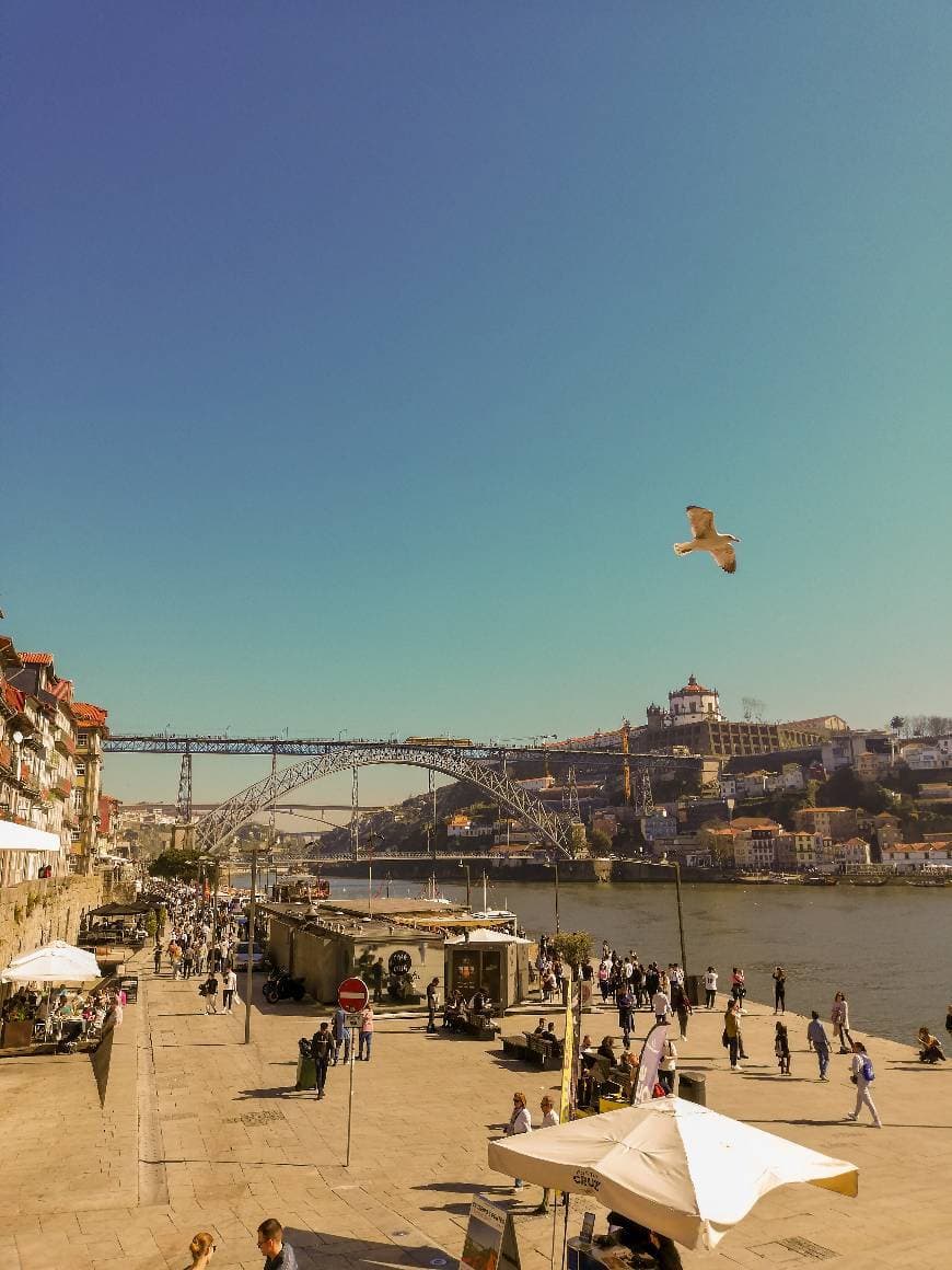 Lugar Ribeira do Porto