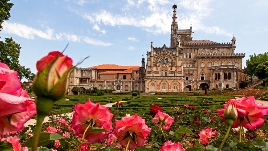 Place Mata Nacional do Buçaco